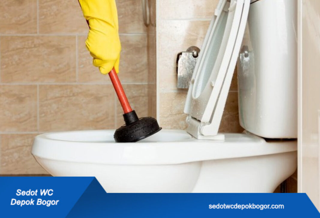 artikel sedot wc depok bogor (2)
