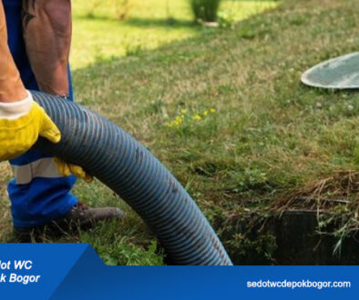 artikel sedot wc depok bogor (3)